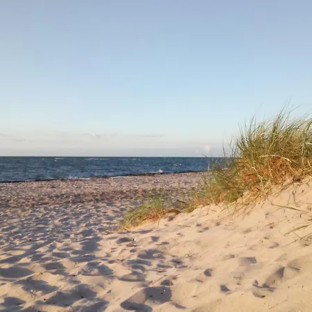 Hotel Cozy In Near Baltic Sea 4*